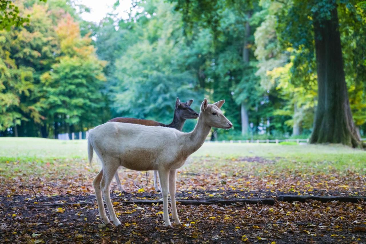 Graeflicher Park Health & Balance Resort Bad Driburg Bagian luar foto
